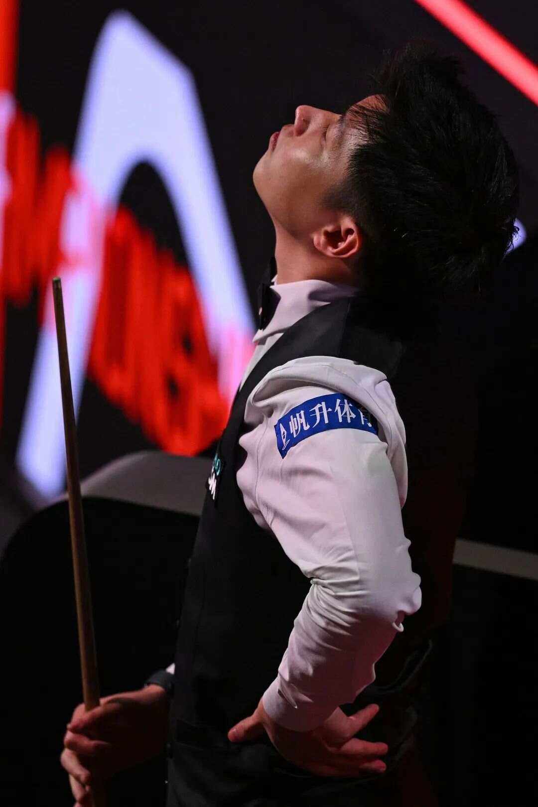 专家提供了 专家提供了