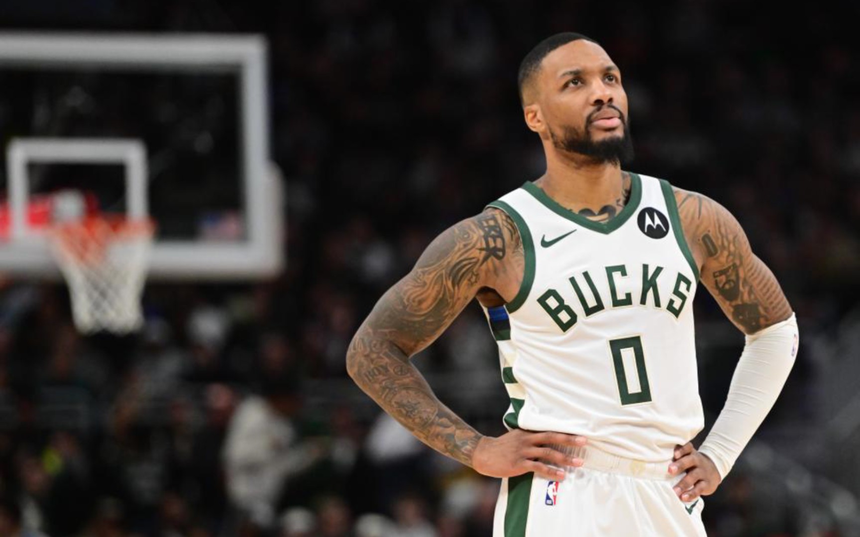 这个数字不 这个数字不