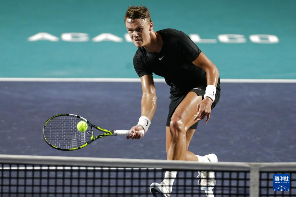 洛伊德真正 洛伊德真正