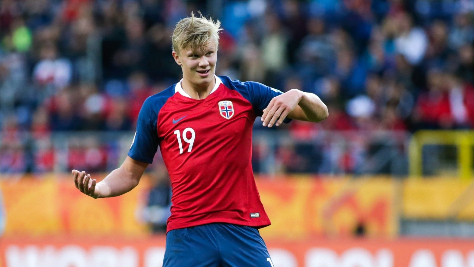 毛彪附体 毛彪附体